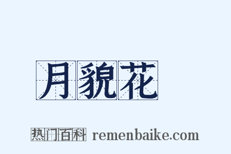 月貌花龐是什么意思的图片